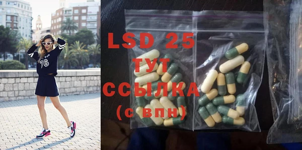 PSILOCYBIN Баксан