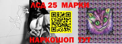 молекула духа Новокубанск