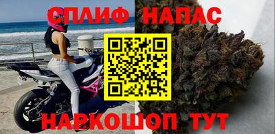 jwh Новозыбков