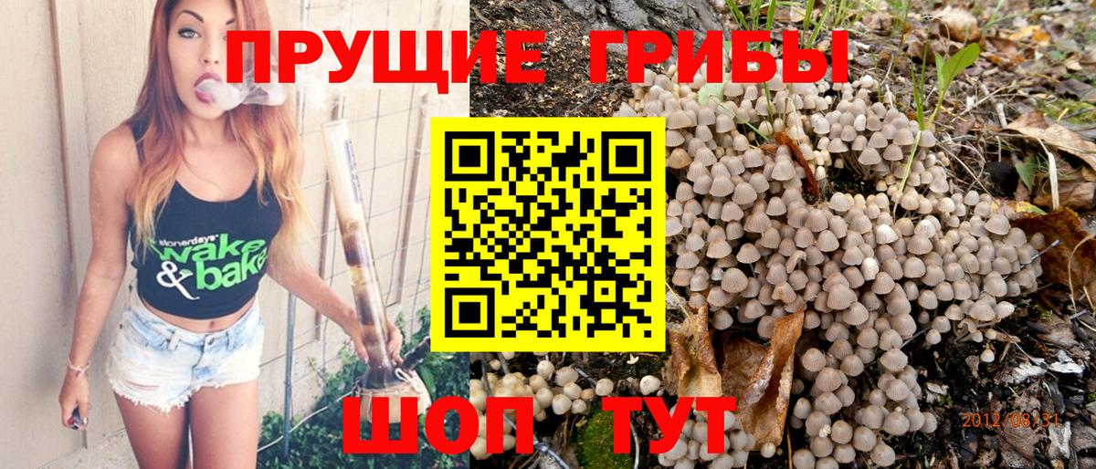 Псилоцибиновые грибы MAGIC MUSHROOMS Армавир