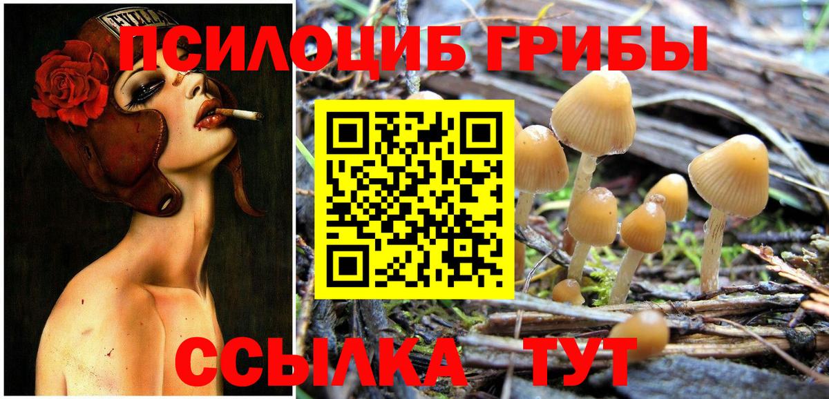 Галлюциногенные грибы Magic Shrooms  купить закладку  Армавир  Вход с VPN 